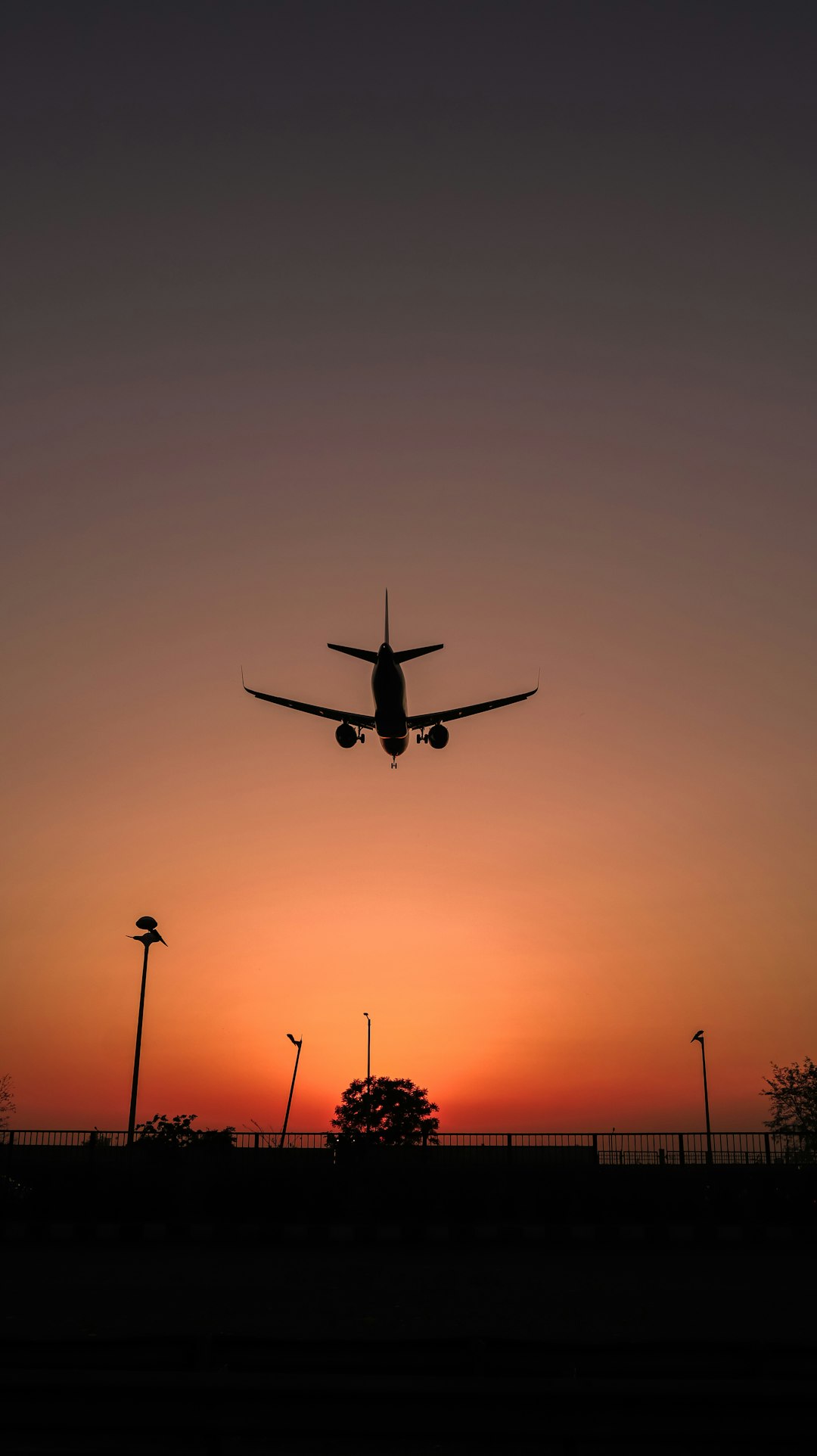 Fly High